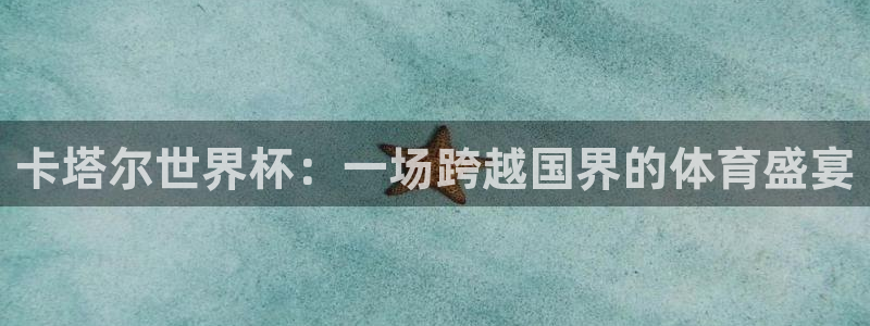 世界杯今日赛程直播：卡塔尔世界杯：一场跨越国界的体育盛宴
