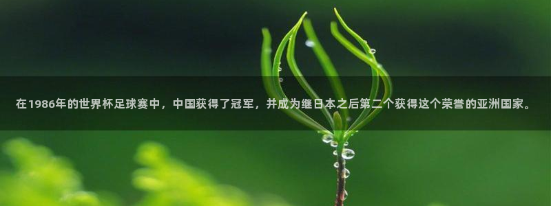 世界杯赛程表2026：在1986年的世界杯足球赛中，中国获得了冠军，并成为继日本之后第二个获得这个荣誉的亚洲国家。