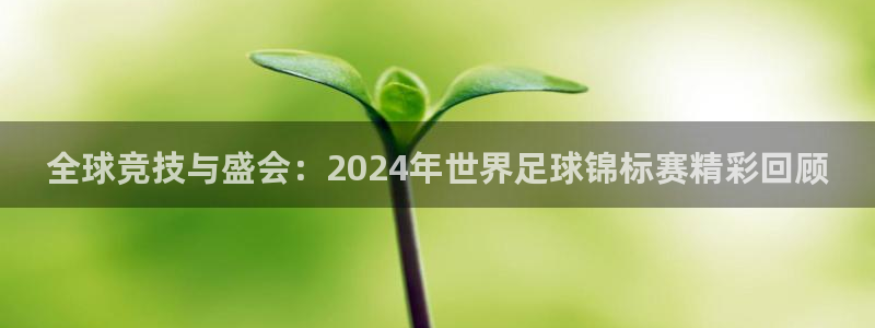 2026年世界杯直播平台：全球竞技与盛会：2024年世界足球锦标赛精彩回顾