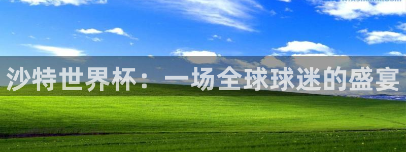国际足联世界杯：沙特世界杯：一场全球球迷的盛宴