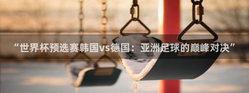 世界杯直播：“世界杯预选赛韩国vs德国：亚洲足球的巅峰对决”
