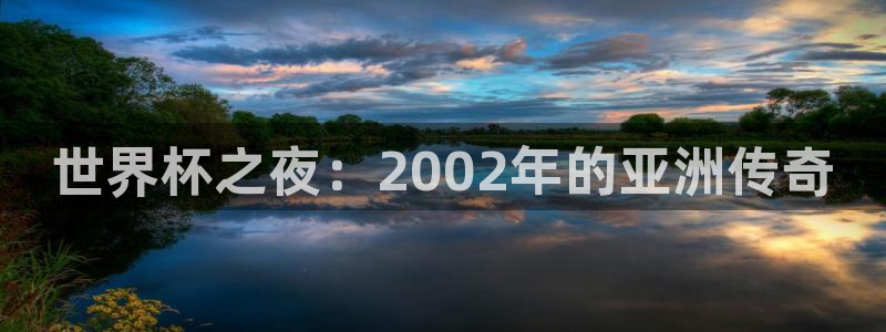 国际足联世界杯：世界杯之夜：2002年的亚洲传奇