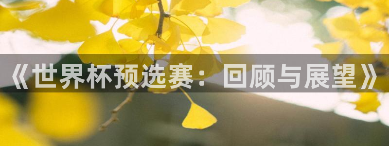 世界杯亚洲区预选赛：《世界杯预选赛：回顾与展望》