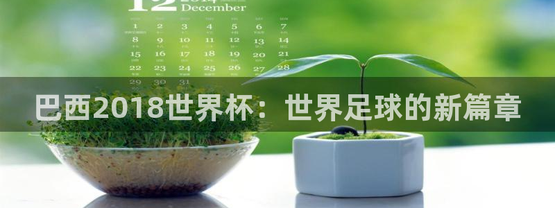 2026足球世界杯：巴西2018世界杯：世界足球的新篇章