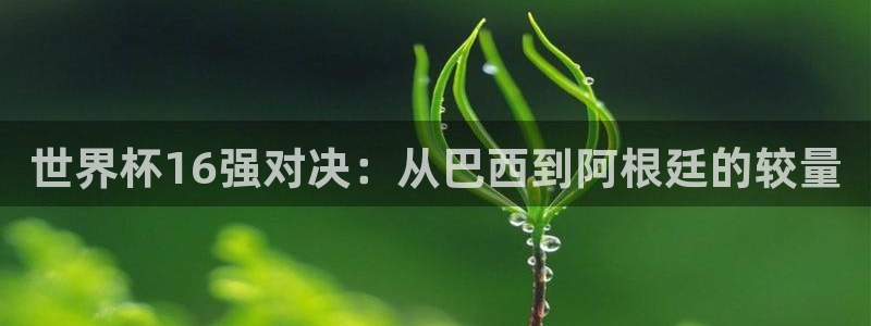 2026年世界杯：世界杯16强对决：从巴西到阿根廷的较量
