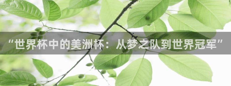 2026世界杯足球赛程时间表：“世界杯中的美洲杯：从梦之队到世界冠军”