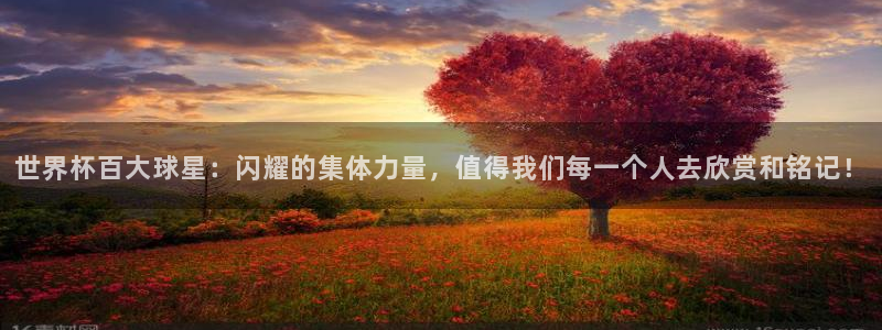 世界杯直播观看：世界杯百大球星：闪耀的集体力量，值得我们每一个人去欣赏和铭记！