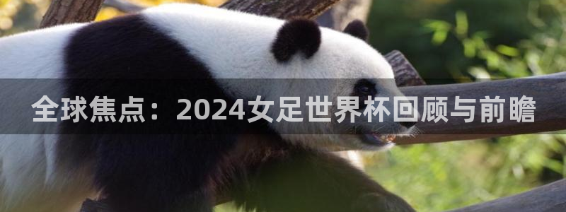 世界杯欧洲预选赛赛程：全球焦点：2024女足世界杯回顾与前瞻