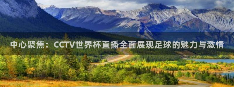 2026年世界杯直播平台：中心聚焦：CCTV世界杯直播全面展现足球的魅力与激情