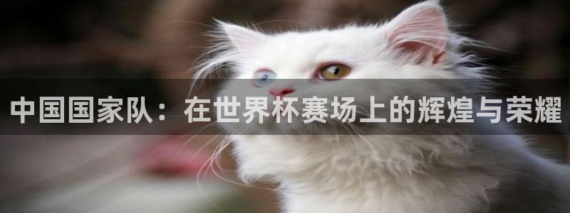 世界杯直播网：中国国家队：在世界杯赛场上的辉煌与荣耀