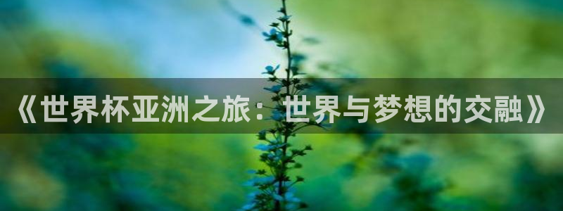 世界杯预选赛亚洲区赛程：《世界杯亚洲之旅：世界与梦想的交融》